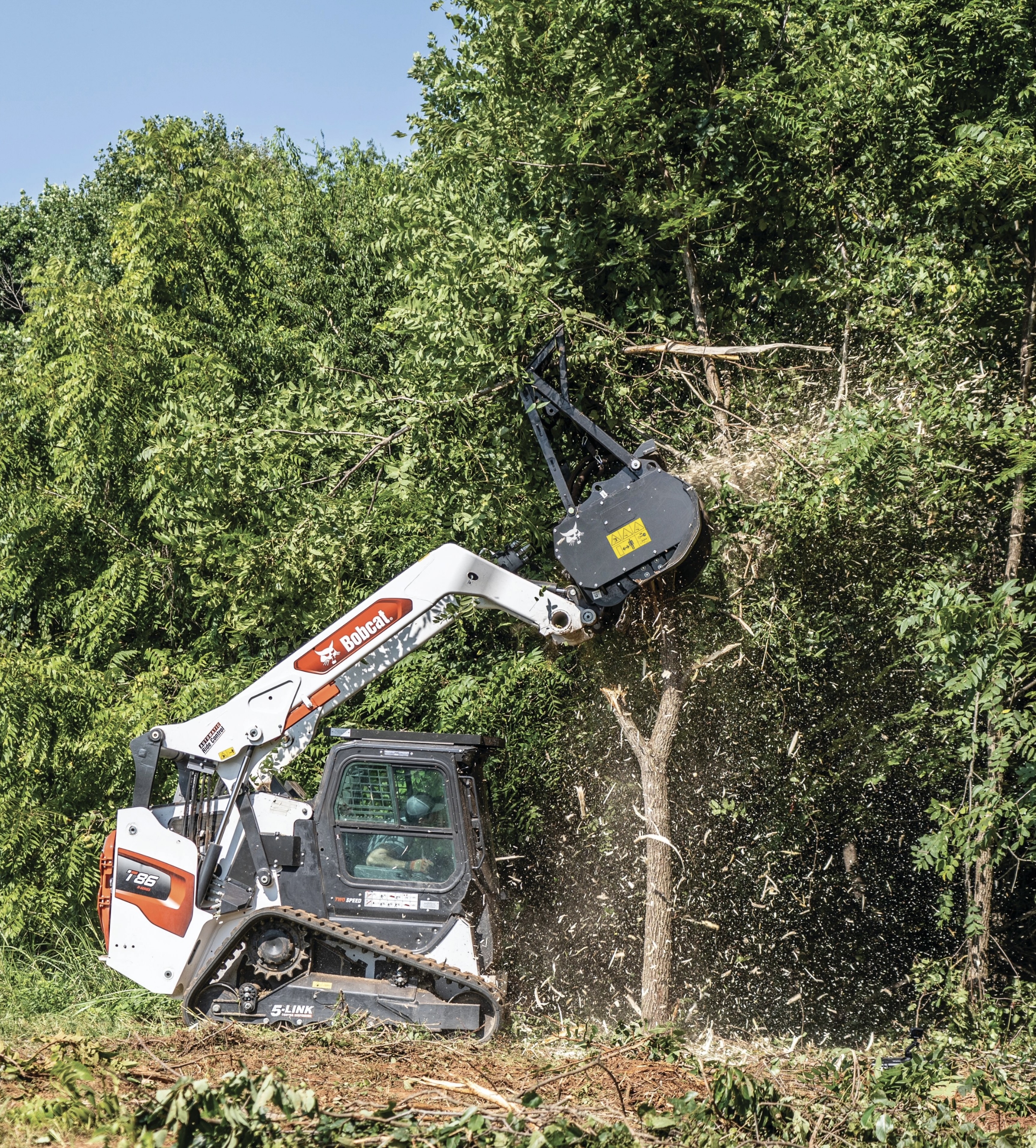 Adobe Express file 2